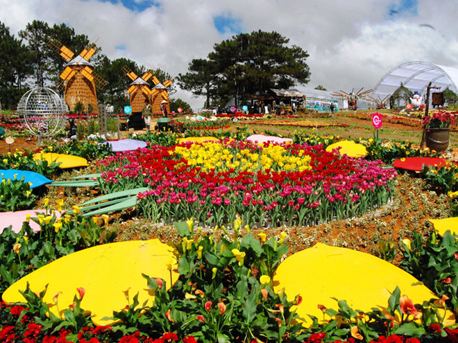 nhieu net moi tai festival hoa da lat lan thu 8 2019