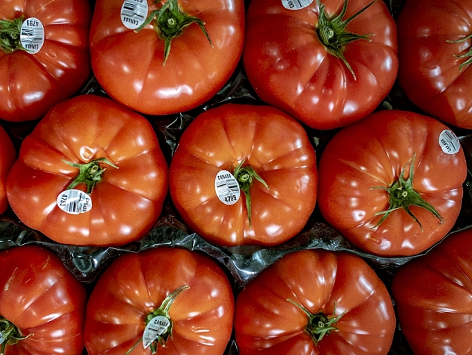 Mỹ đạt thỏa thuận thương mại về cà chua với Mexico sau xung đột thuế quan my dat thoa thuan thuong mai ve ca chua voi mexico sau xung dot thue quan