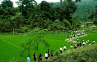 Công nhận 17 xã An toàn khu tại tỉnh Vĩnh Phúc