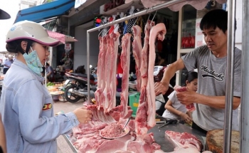Hà Nội: Sản lượng lợn hơi xuất chuồng giảm hơn 27%