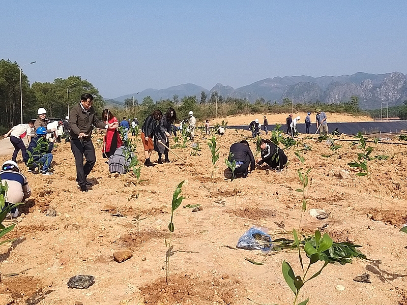 undefined 1350-tryng-cay-tren-bai-xy-thyi