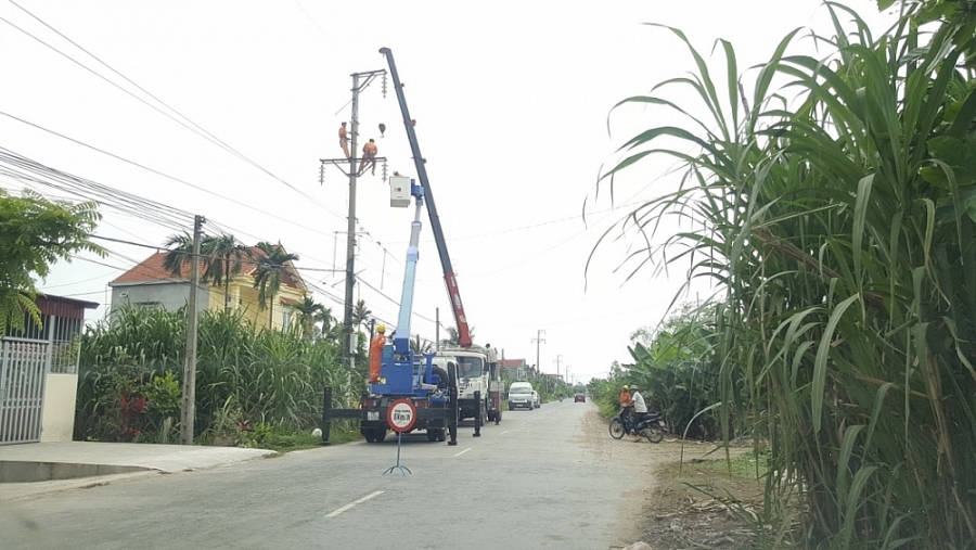 undefined 2325-anh-dien-luc-hai-phong