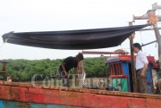 Nghệ An: Ngư dân vẫn khó!