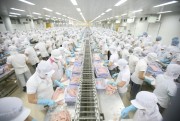 Ai Cập: Thị trường tiềm năng cho thủy sản Việt Nam