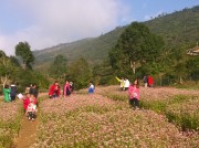 Người mở hướng du lịch ở Suối Giàng