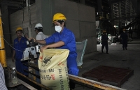 Xuất khẩu phân bón tăng trở lại