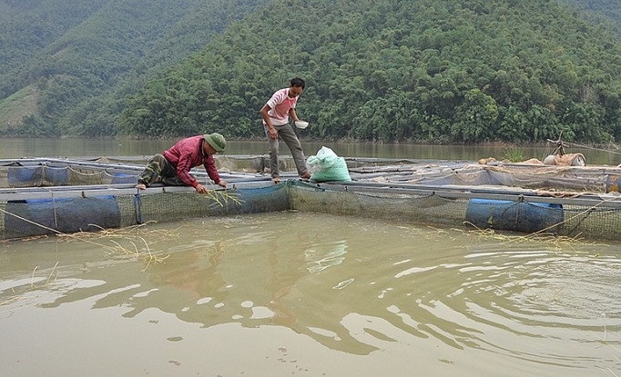 them nang luong cho cong tac giam ngheo