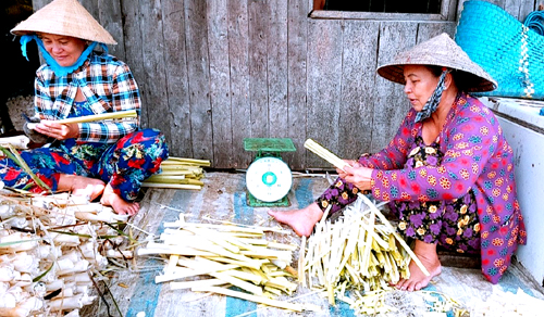 nong dan ca mau trong bon bon thu nua trieu moi ngay