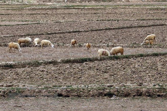 viet nam va phap tang cuong hop tac trong linh vuc moi truong