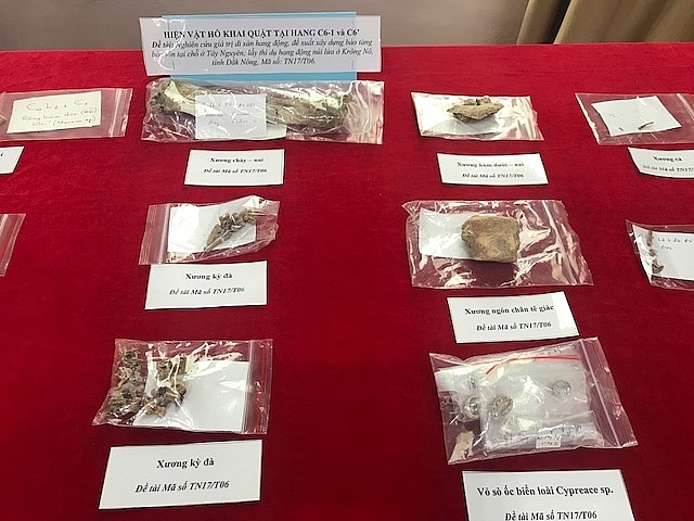 Phát hiện di cốt người cổ trong các hang động núi lửa ở Tây Nguyên phat hien di cot nguoi co trong cac hang dong nui lua o tay nguyen