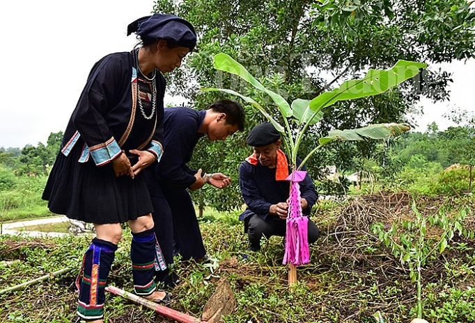 Lễ giải hạn - nối số của dân tộc Mông đen le giai han noi so cua dan toc mong den