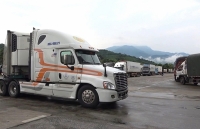 Lào Cai: Sôi động xuất khẩu thanh long