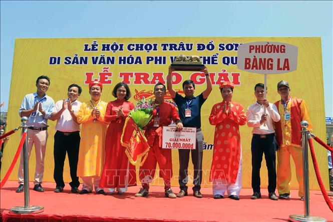 Lễ hội Chọi trâu Đồ Sơn 2019: Những trận tỷ thí kiên cường le hoi choi trau do son 2019 nhung tran ty thi kien cuong