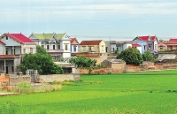 Vận dụng linh hoạt chính sách