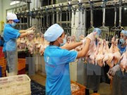 Đề xuất ban hành bộ tiêu chí chuẩn chất lượng an toàn thực phẩm