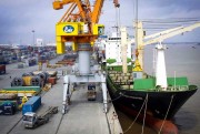 Hải Phòng: Thu thuế từ dịch vụ cảng đạt hơn 400 tỷ đồng