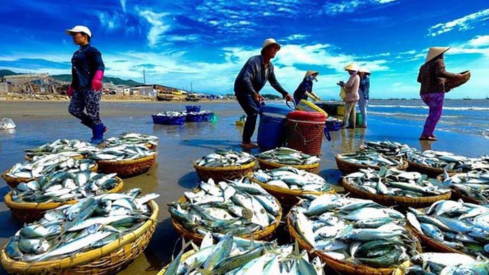 Đừng để thủy sản gặp khó trên "sân nhà" dung de thuy san gap kho tren san nha