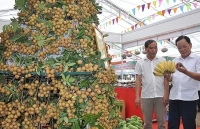 Sản xuất theo tiêu chuẩn VietGAP: Nhiều nông dân thu về tiền tỷ