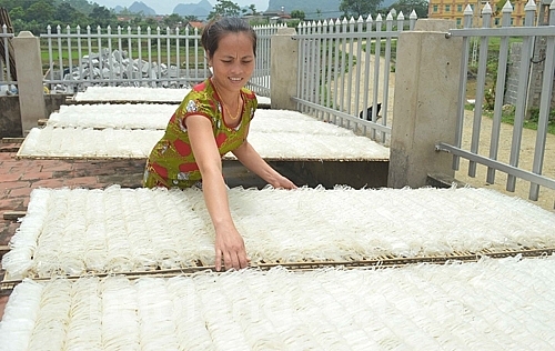 bao ho nhan hieu cao kho van linh