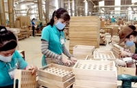 Xuất khẩu gỗ và sản phẩm gỗ sang Hàn Quốc: Kiểm soát chặt nguồn nguyên liệu