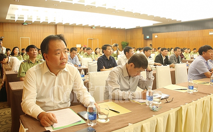 ban giao ve bo cong thuong 14 chi cuc quan ly thi truong mien trung tay nguyen