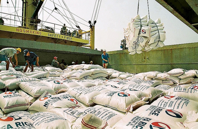 Tạo điều kiện tối đa cho xuất khẩu gạo tao dieu kien toi da cho xuat khau gao