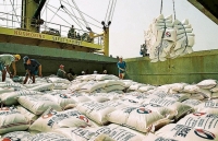 xuat khau gao tien chac