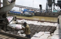 Nghịch lý xuất khẩu xi măng