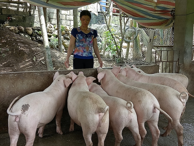 Chuyện xóa đói nghèo ở huyện vùng cao Ba Bể chuyen xoa doi ngheo o huyen vung cao ba be