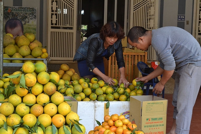 cam cao phong vao vu