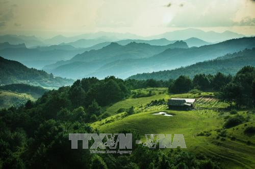 Rừng quốc gia Phia Oắc - Phia Đén: "Viên ngọc quý" của Cao Bằng rung quoc gia phia oac phia den vien ngoc quy cua cao bang