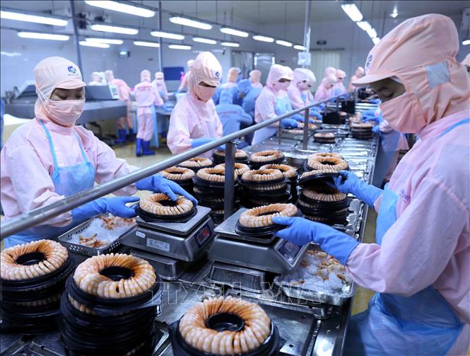 Việt Nam tăng 10 bậc năng lực cạnh tranh trong đánh giá của WEF viet nam tang 10 bac nang luc canh tranh trong danh gia cua wef