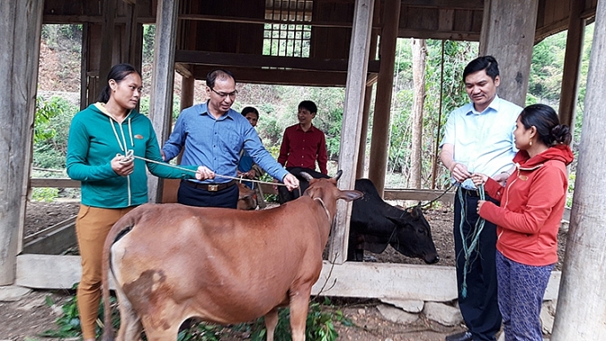 Kỳ I: Định hướng lớn hiện hữu từng ngày ky i dinh huong lon hien huu tung ngay