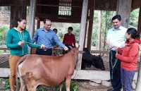 ky iii tap trung xay dung he thong chinh tri vung manh