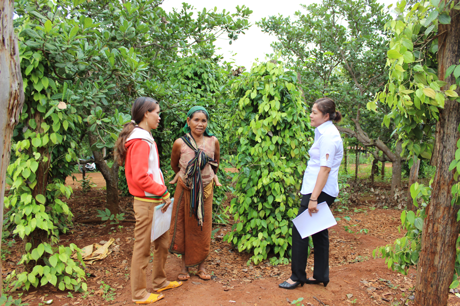 Cán bộ tín dụng và tổ vay vốn thăm hỏi hộ vay tại địa bàn. Ảnh: S.C