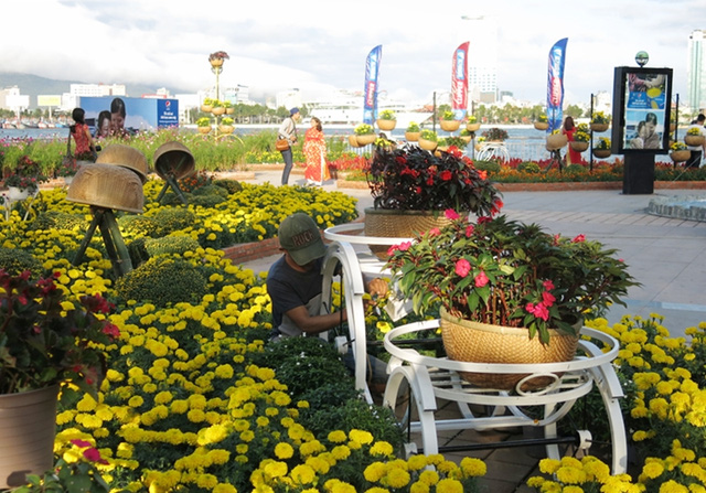 Đà Nẵng lần đầu trình diễn hoa nghệ thuật quốc tế (ảnh minh họa: Đường hoa xuân Đà Nẵng 2016)