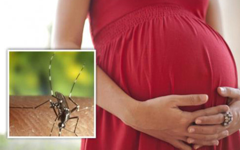 da co 83 ca nhiem virus zika tai tp hcm hinh 1