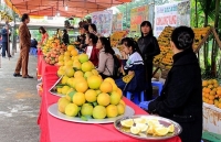 Tìm hướng tiêu thụ  bài bản cho nông sản