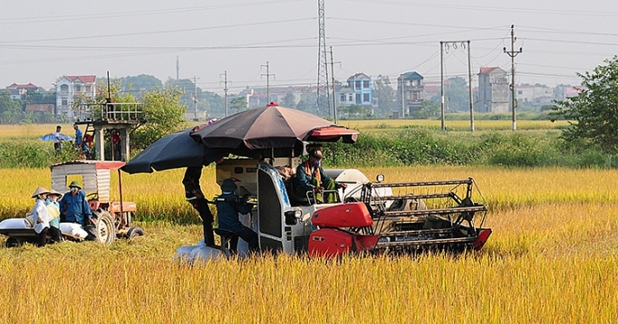 buoc dot pha trong the che chinh sach