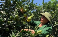 Những thôn, bản kiểu mẫu ở miền núi Nghệ An