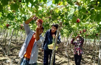 Kết hợp du lịch với xây dựng nông thôn mới: Cần sớm hoàn thiện cơ chế, chính sách