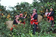 Liên kết để tạo sức mạnh