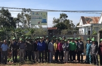 Đạm xanh N46 Plus và Kali Cà Mau chiếm trọn tin yêu của nông dân Lâm Đồng