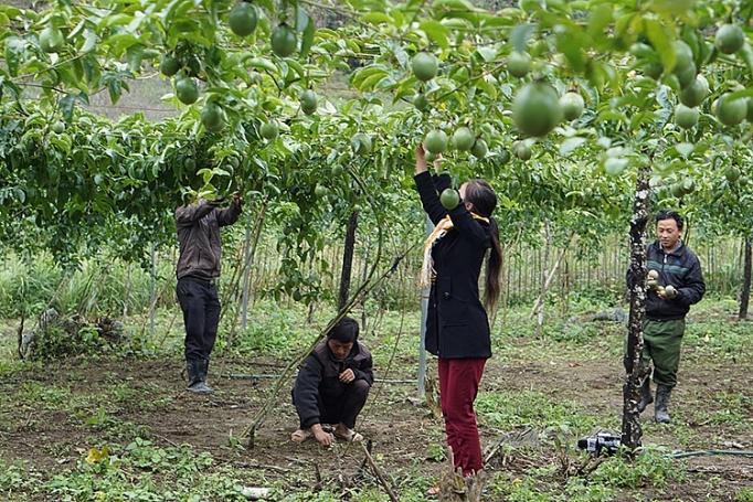 nghe an tin dung chinh sach giup suc ba con dan toc