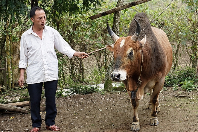 nghe an tin dung chinh sach giup suc ba con dan toc