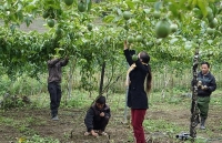 Nghệ An: Tín dụng chính sách giúp sức bà con dân tộc