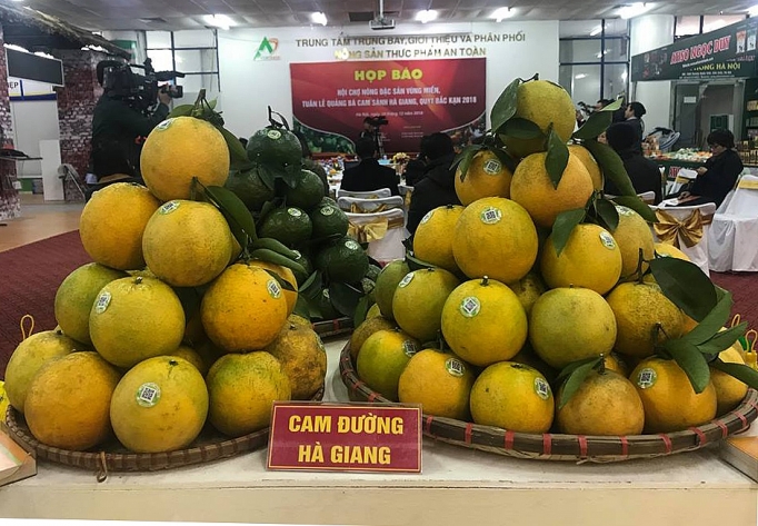 Hướng đi nào cho cây có múi? huong di nao cho cay co mui