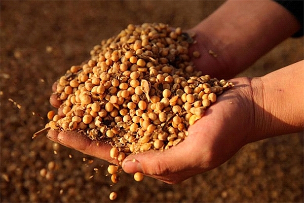 Trung Quốc xóa bỏ thuế xuất nhập khẩu bao gồm cả một số nguyên liệu thô trung quoc xoa bo thue xuat nhap khau bao gom ca mot so nguyen lieu tho
