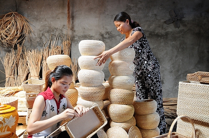 doanh nghiep tu nhan so luong phai song hanh chat luong