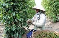 Xây dựng thương hiệu: Yếu tố 